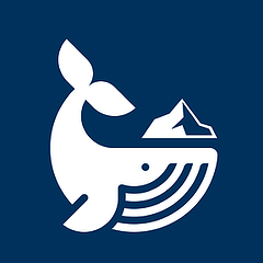 icewhale profile avatar